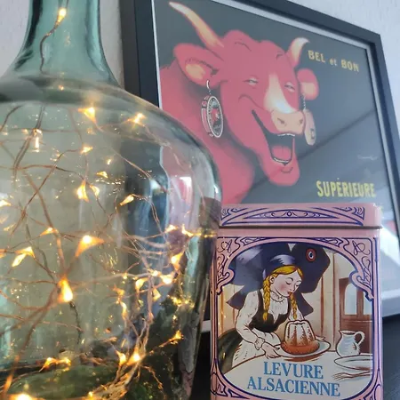 2p A Proximite De Strasbourg Obernai Ev15 *